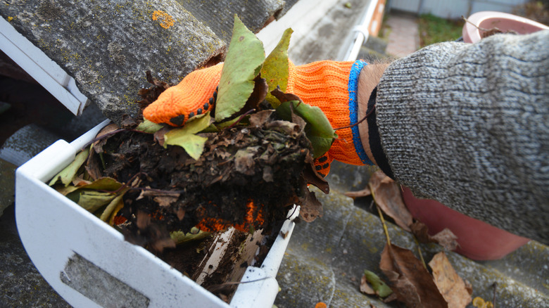 person cleaning out gutter debris