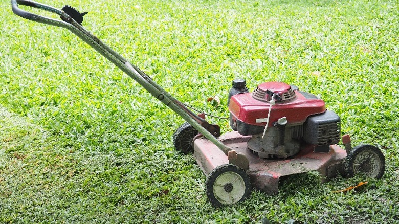 old push mower on lawn