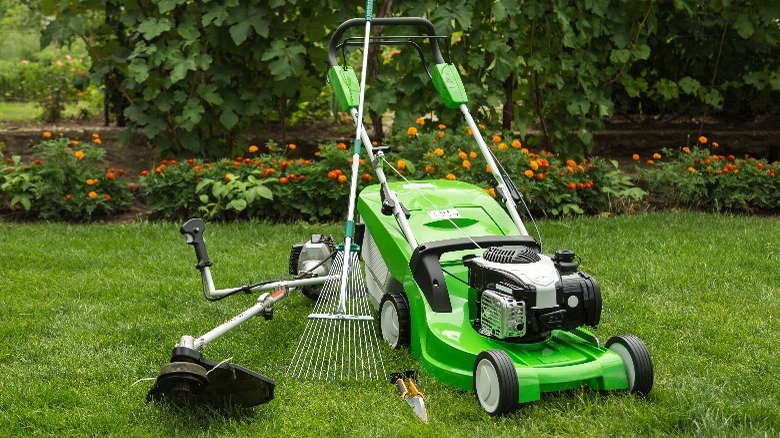 new lawn mower and tools