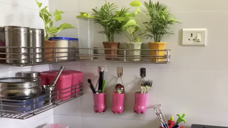 plants and diy utensil holders