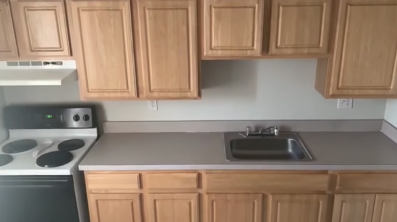 standard renter galley kitchen