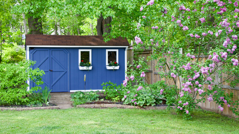 bright blue backyard office