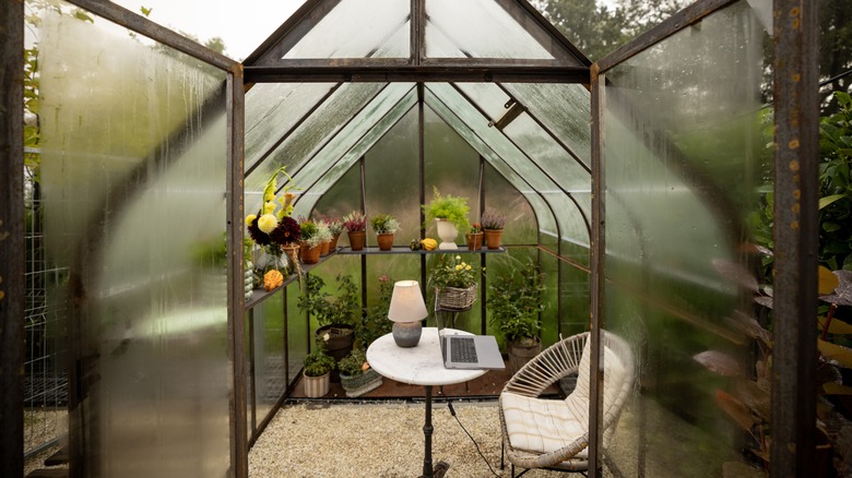 office space inside greenhouse