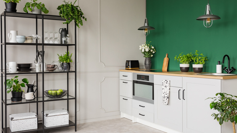 Pistachio and White Kitchen  Kitchen aid, White kitchen accessories, Light  green kitchen