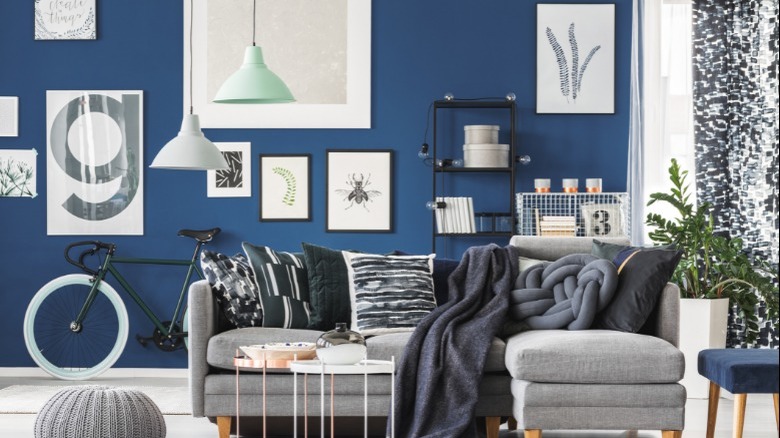 blue accent wall with photos