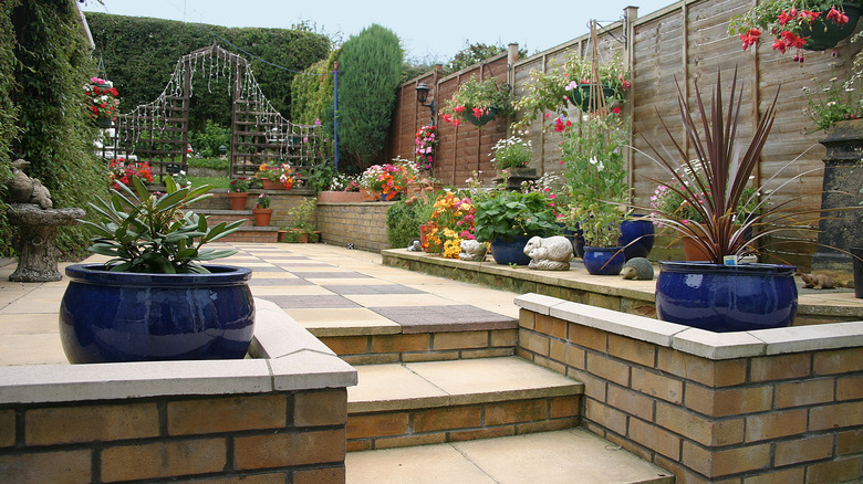 plants on brick patio