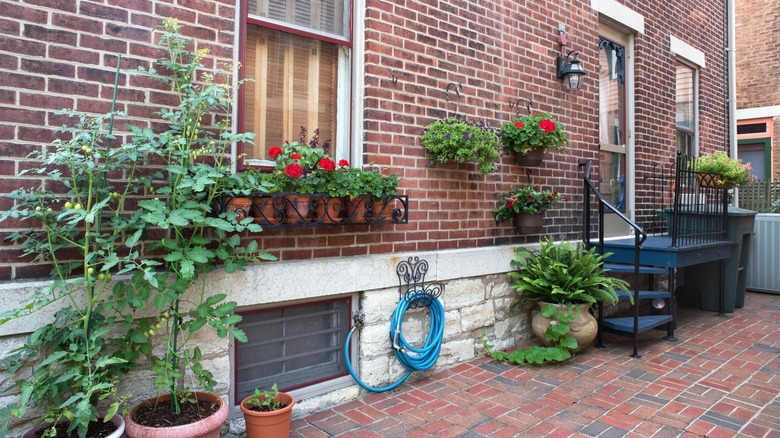 potted plants on brick patio