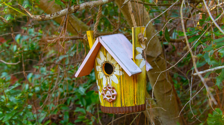 a bucket shaped birdhouse