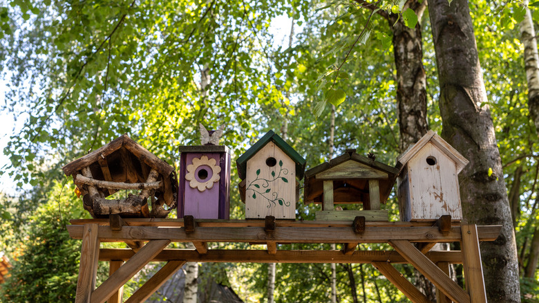 different birdhouses atop a trellis