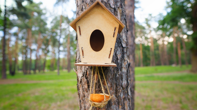 A wood birdhouse with orange