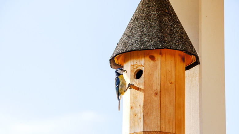 round birdhouse with cone roof