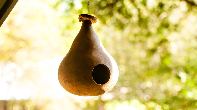 Birdhouse made of a gourd