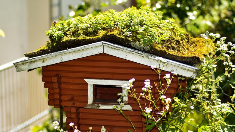 A birdhouse with moss