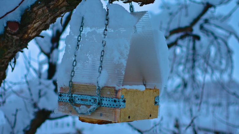 A plastic and wood birdhouse