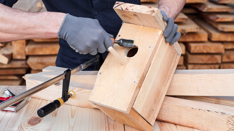 man making wooden birdhouse