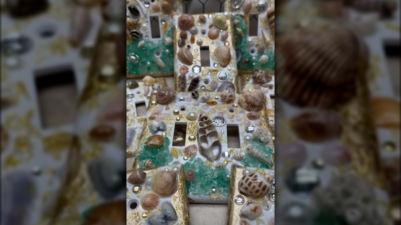 shells on a light switch cover