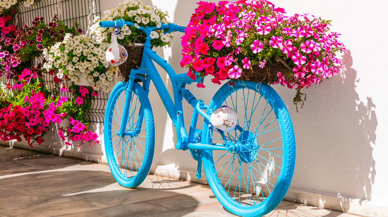 Flowers on bikes outdoor