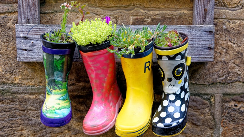 Floating boots and flowers