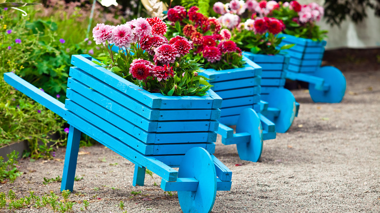 Flowers in carts in garden