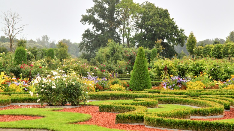 A french style garden