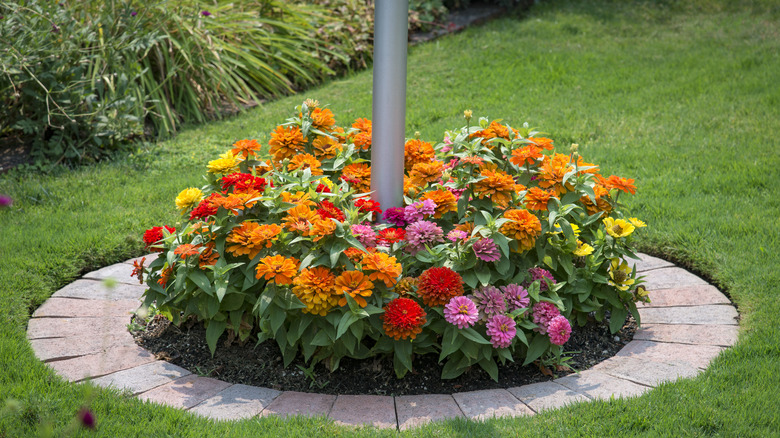 Demarcated flowers around lamp post