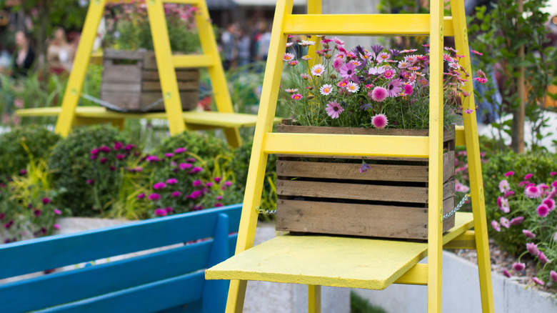 Boxed flowers on ladders