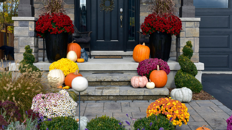 Pumpkins and flowers at entrance