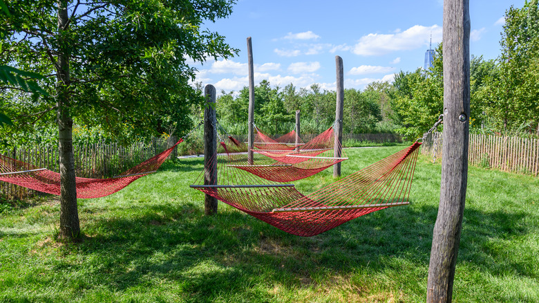 Yard full of hammocks