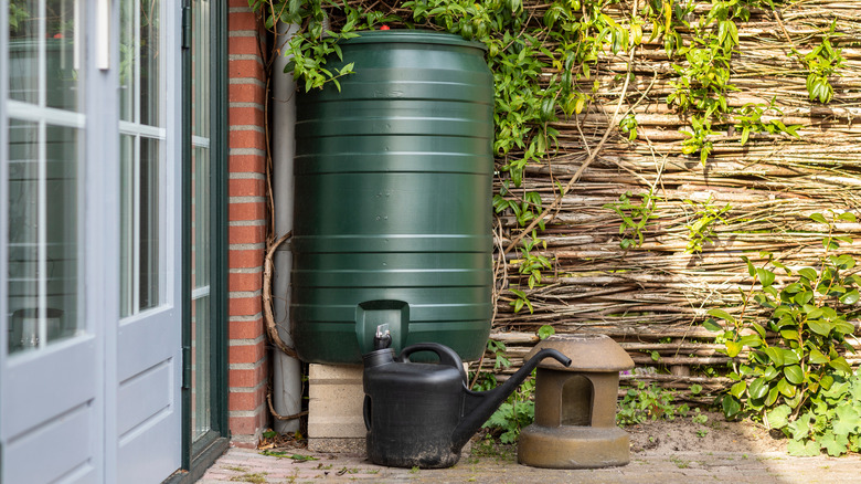 Rain barrel near rain spout