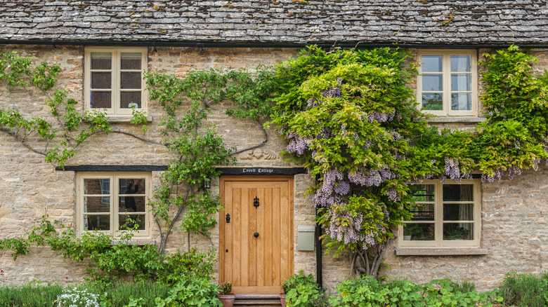 home with wisteria growing