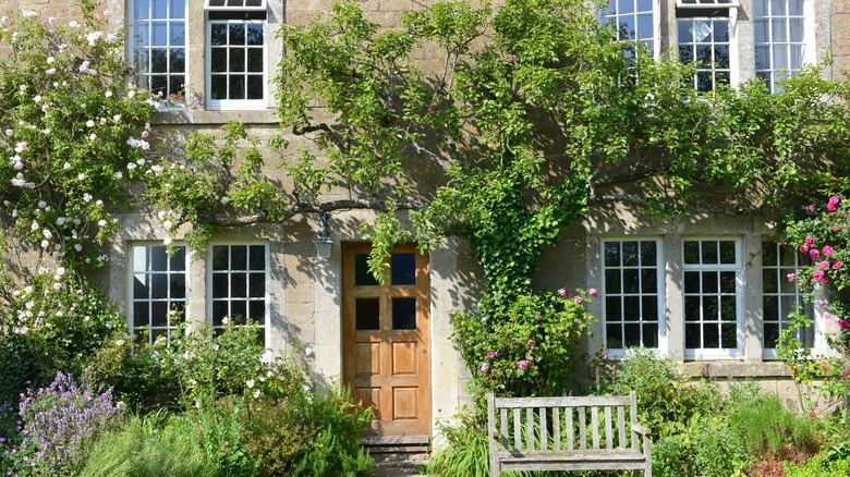 english cottage with vines