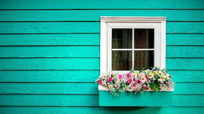 Turquoise around white window