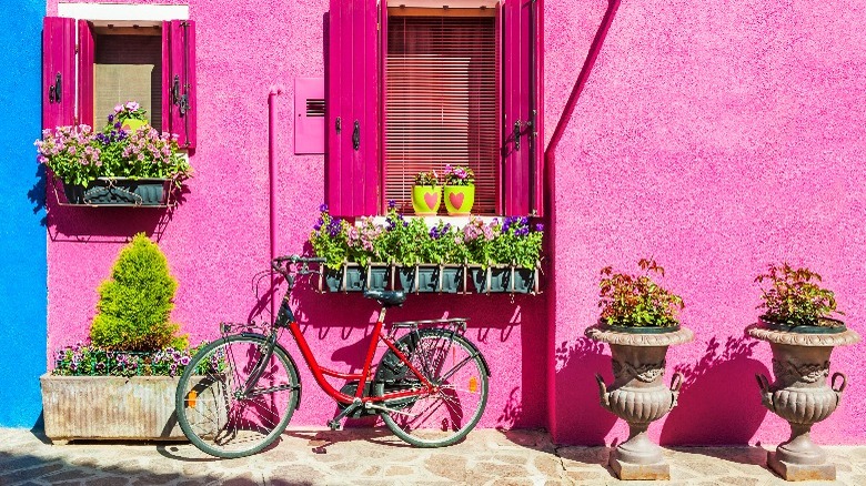 Pink house with plants