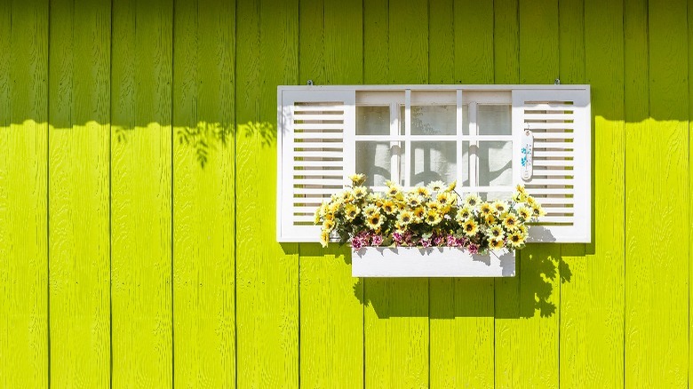 Lime green house