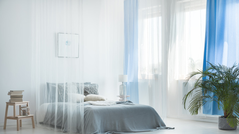 Blue bedroom sheer canopy curtains