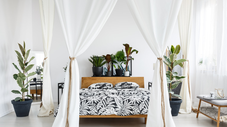 Monochrome tropical bedroom canopy curtains