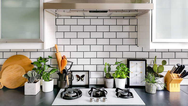 kitchen with plants on counter