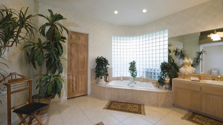 Glass blocks in bathroom