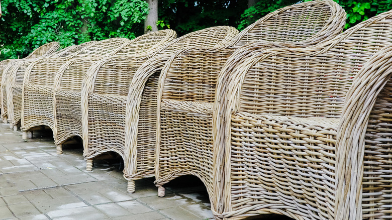 row of wicker chairs