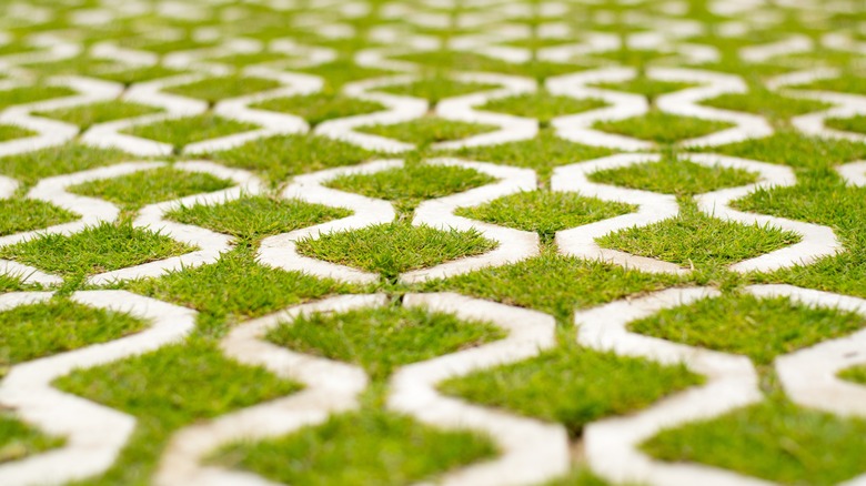 interlocking white bricks for patio