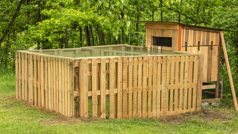 Wooden pallet chicken coop