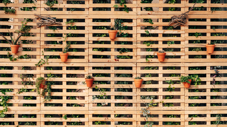 Wooden pallet garden wall