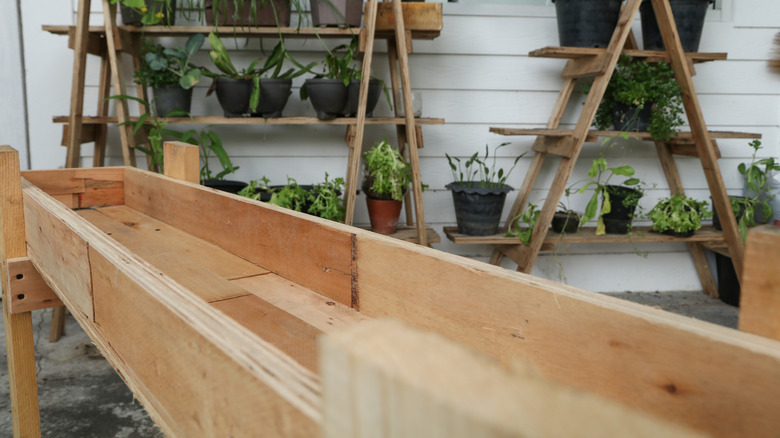 Raised garden made from pallets