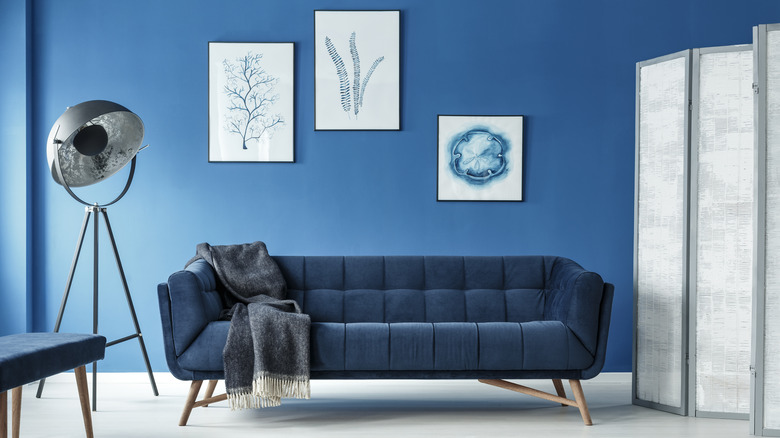 blue living room 