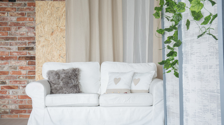 folding screen and plants 