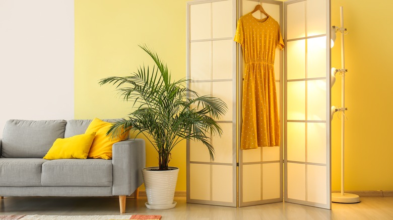 a yellow living room 