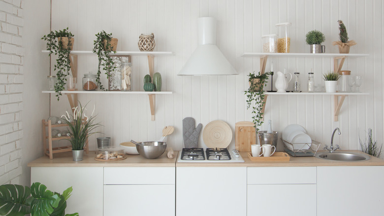 modern new interior of kitchen