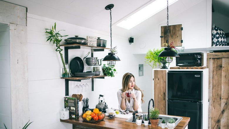 modern stylish kitchen 