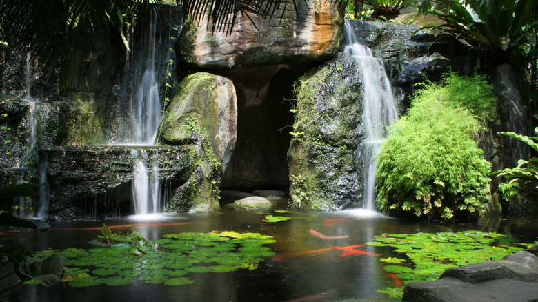 cave beside a koi pond