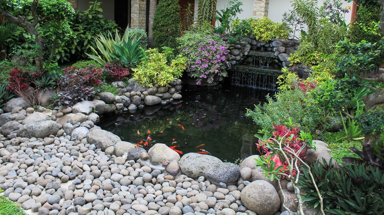 koi pond with flowers